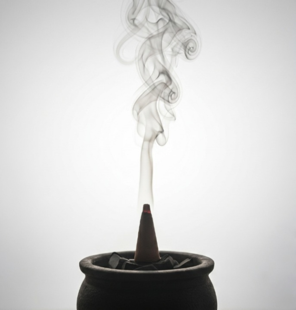 Guggul Dry Dhoop Cone (3) Guggal Dry Dhoop Cones